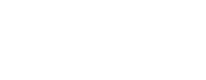 Nexprime Agency logo representing a digital marketing and AI driven growth company.